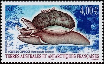 2005 г. - Фауна Антарктики 