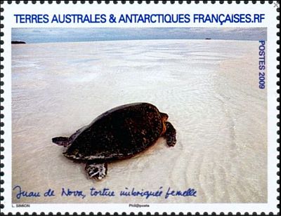 2009 г. - Фауна Антарктики 