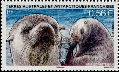 2010 г. - Фауна Антарктики 