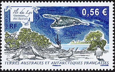 2010 г. - Фауна Антарктики 