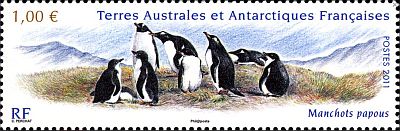 2011 г. - Пингвины