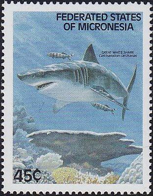 1989 - Акулы