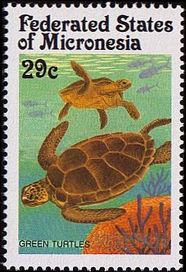 1991 - Черепахи