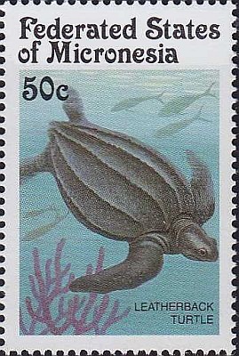 1991 - Черепахи