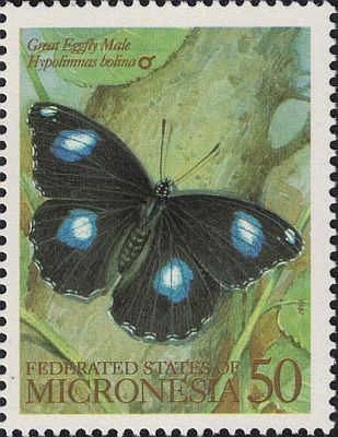 1993 - Бабочки 