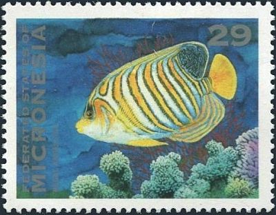 1993 - Рыбы