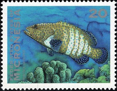 1994 - Рыбы. Филателистическая выставка в Гонконге