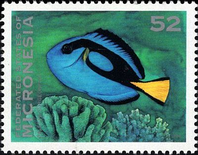 1994 - Рыбы. Филателистическая выставка в Гонконге
