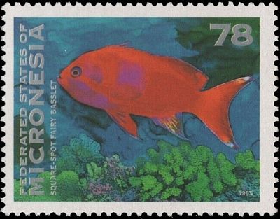 1995 - Рыбы.
