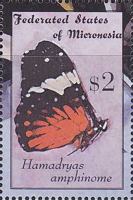 2000 - Бабочки
