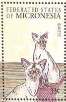 2000 - Кошки