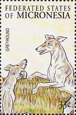 2000 - Собаки