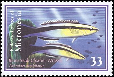 2000 - Тропические рыбы