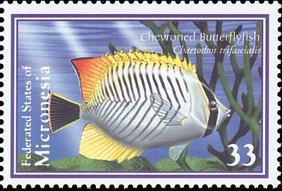2000 - Тропические рыбы