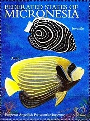 2001 - Эндемичная фауна моря