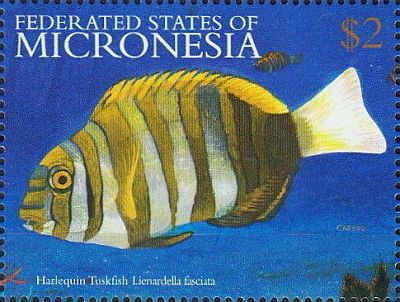 2001 - Эндемичная фауна моря
