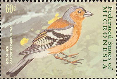 2001 - Птицы