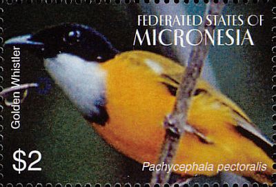 2004 - Птицы Тихоокеанского региона