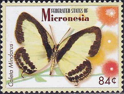 2006 - Бабочки