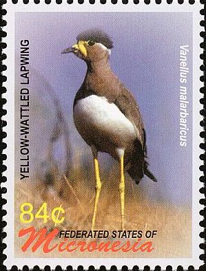 2006 - Птицы 
