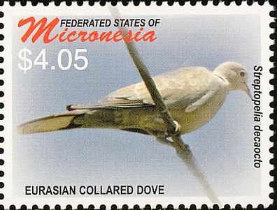 2006 - Птицы 