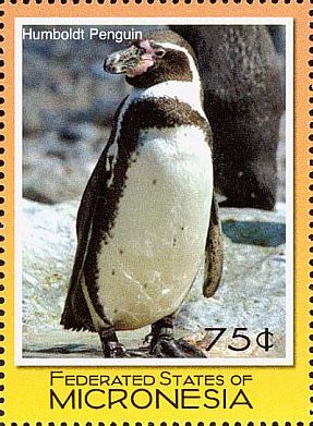 2007 - Пингвины