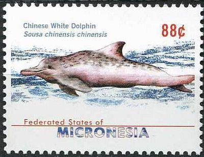 2009 - Дельфины 