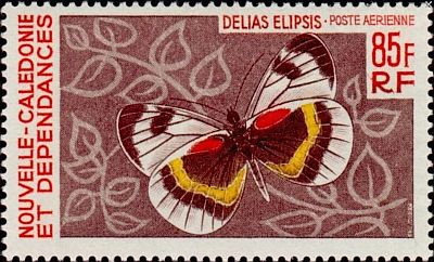 1967 г. - Бабочки .