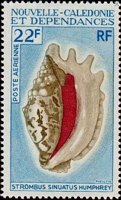 1970 г. - Моллюски .