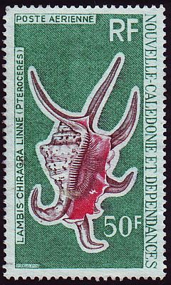 1972 г. - Моллюски.