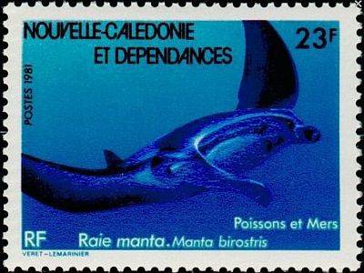 1981 г. - Фауна моря.
