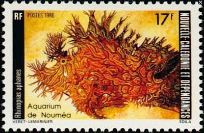 1986 г. - Аквариум Нумеа.