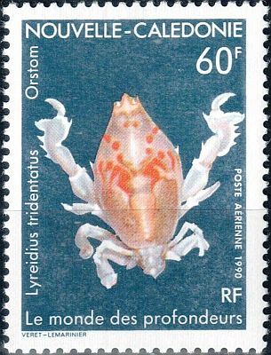 1990 г. - Фауна моря.
