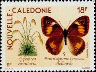 1990 г. -  Бабочки и флора.