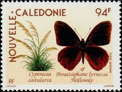 1990 г. -  Бабочки и флора.