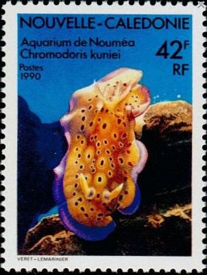 1990 г. -  Аквариум Нумеа.