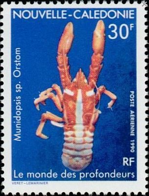 1990 г. - Фауна моря.