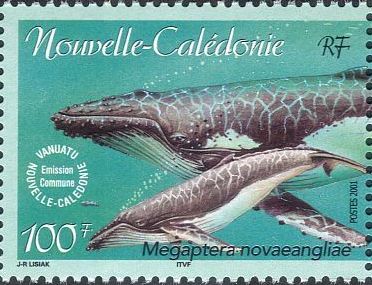 2001 г. - Охрана морских животных.