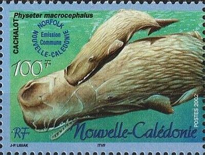2002 г. - Охрана морской фауны 