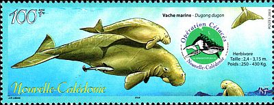 2003 г. - Охрана морской фауны.