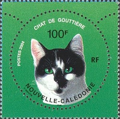 2004 г. - Коты  