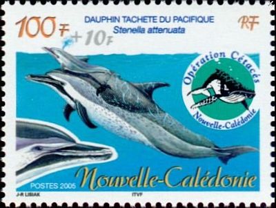 2005 г. - Дельфины 