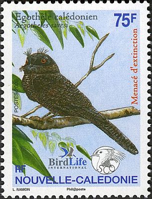 2006 г. - Редкие птицы - Компания BirdLife International