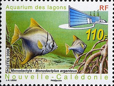 2007 г. - Новый аквариум 