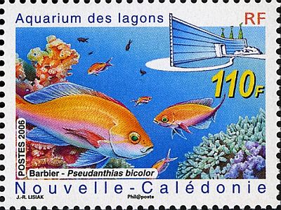 2007 г. - Новый аквариум 