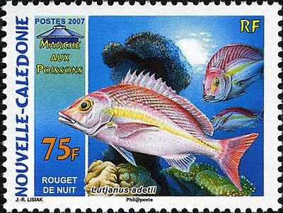 2007 г. - Рыбы