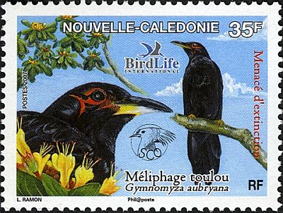 2007 г. - BirdLife 