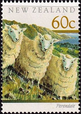 1991 г. - Овцы .  
