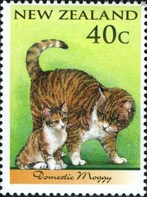 1998 г. - Кошки  .  