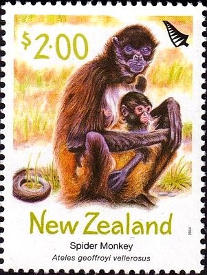 2004 г. - Животные зоопарка 